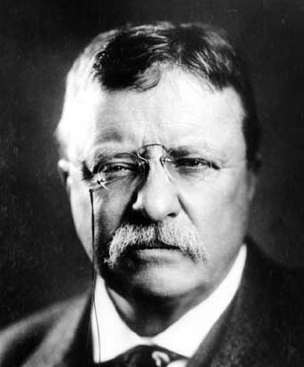 a_teddy_roosevelt 20 Manliest Mustaches and Beards From Facial Hair History