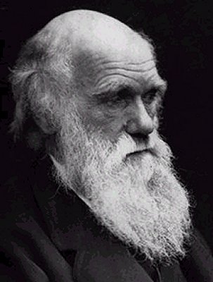 charles_darwin_l 20 Manliest Mustaches and Beards From Facial Hair History